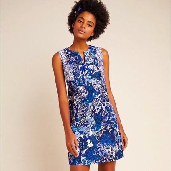 Anthropologie Dresses & Skirts - Maeve Savannah shift dress NWT